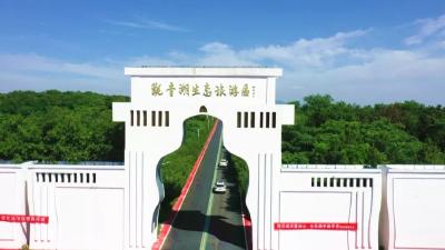 孝昌：青山绿水间藏着乡村振兴的“金山银山”