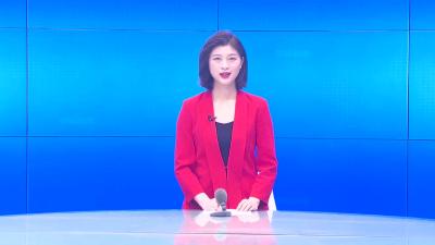 --李惠芬参加花园镇代表团分组讨论