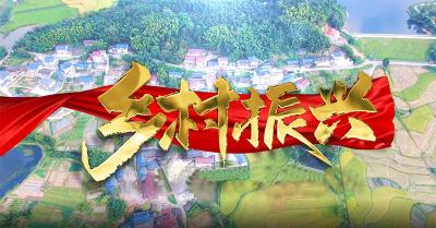 乡村振兴