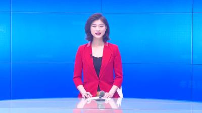 --李惠芬参加花园代表团分组讨论