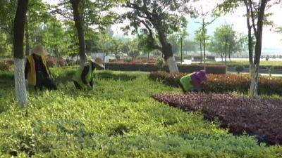 孝昌县提升园林景观 巩固园林城市创建成果