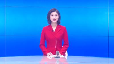 --李惠芬参加邹岗代表团分组讨论