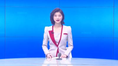 --洪鹏参加政协孝昌县七届一次会议农业、经济界分组讨论