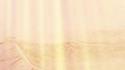 --县市场监督管理局：强化市场秩序整治行动 服务“五城同创”工作大局