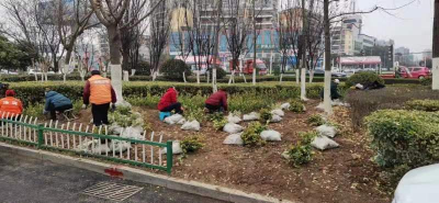 绿化补植，城市那片绿有他们维护！