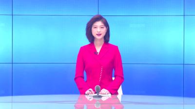 --县政协调研发展职业技术教育座谈会