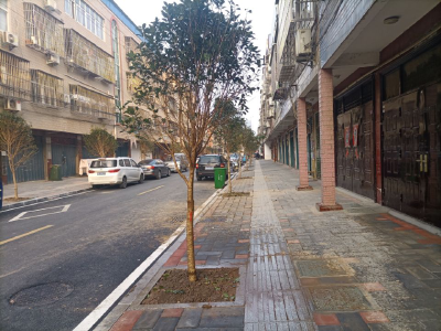 孝昌：推进“美丽街区”创建 搞好“香城”建设