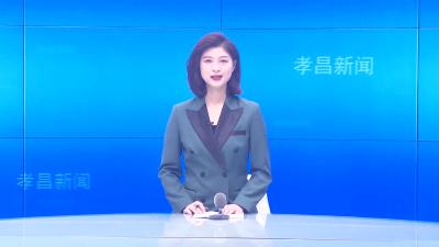 --李志平调研督导落实全面从严治党“一岗双责”工作