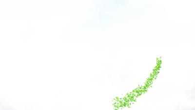 -乡镇（区）党委书记为家乡代言