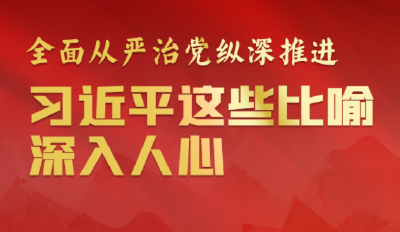 联播+丨全面从严治党纵深推进 习近平这些比喻深入人心