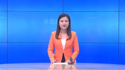 --中国物流集团与孝昌县政府召开视频连线会议