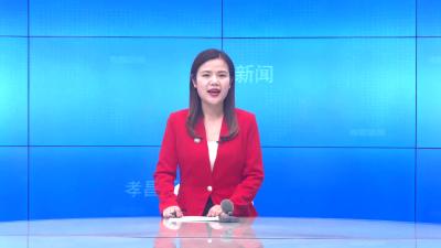 --邹岗镇召开2021年度党组织书记抓党建述职评议会