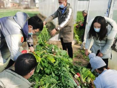 访农户 看小康 办实事| 爱看《新闻联播》的他有了新电视