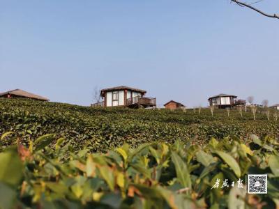 小山村留住了城里客