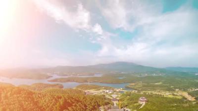 --邹岗镇：千亩梅园引客来  农旅融合促振兴