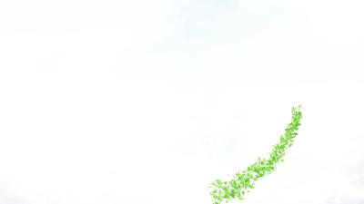 -乡镇（区）党委书记为家乡代言