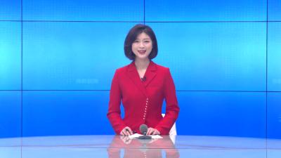 --县领导开展春节慰问部队活动