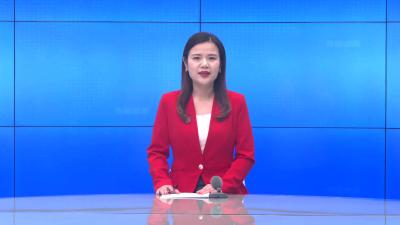 --孝感市2022年度高标准农田建设项目推进会在我县召开