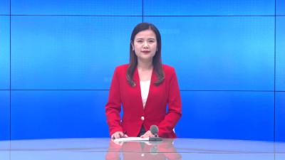 --中国林业产业联合会到我县考察国家储备林项目