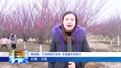 --邹岗镇：千亩梅园引客来  农旅融合促振兴