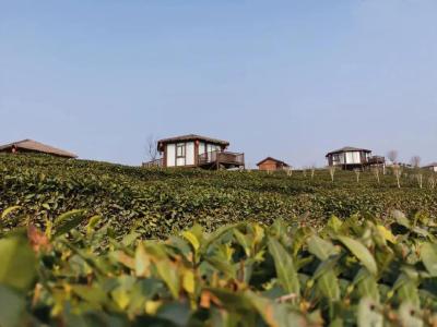 有山有水有美景！孝昌小山村留住了城里客！