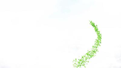 --周巷镇：兰花俏销  “花式”助农增收