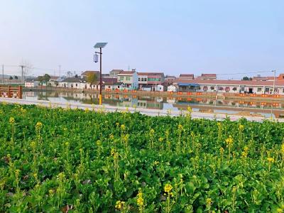 孝昌：建设美丽宜居乡村，绘就村民幸福底色！