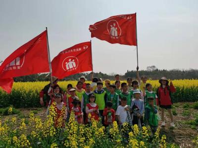 邹岗镇：让小树见证我们的成长