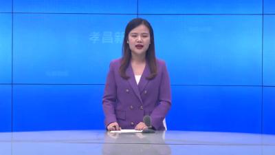 --武汉孝昌商会考察我县苗木花卉及茶果产业