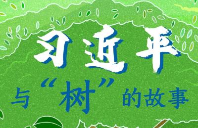 习近平与“树”的故事