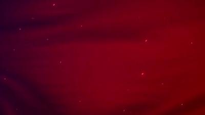 --王店镇新岗村: 满满幸福味 "免费的午餐"格外香