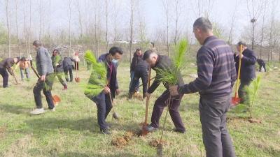 孝昌花园镇：植树造林播新绿 助力创建省级森林城市