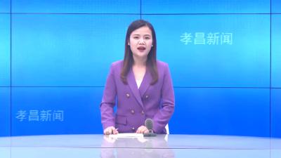 --县妇联开展“迎三八”法治宣传活动