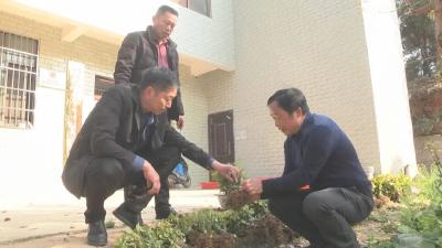 “土专家”周金云：科技志愿服务32年 助力茶产业链发展