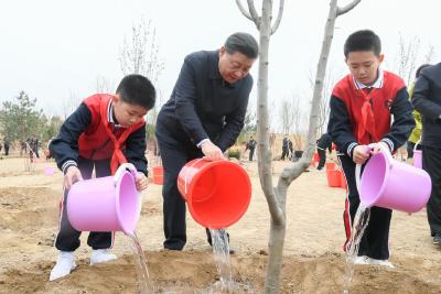 这十年，总书记带领我们一起植树