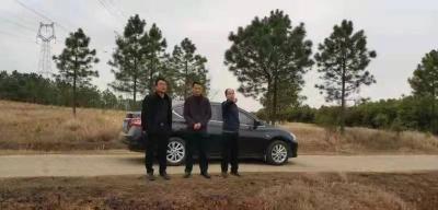 孝昌：紧绷秸秆禁烧“弦”，严格把控“零容忍”~