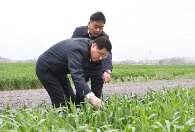 扛牢粮食安全政治责任稳住农业基本盘！应勇在天门调研春耕备耕