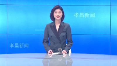 --孝昌金博小河80MW农光互补光伏电站投产