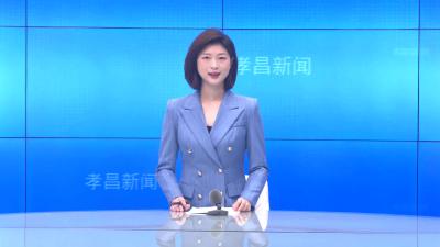 --县领导调研澴西工业园区建设工作