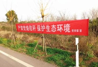 邹岗镇：多措并举，筑牢秸秆禁烧