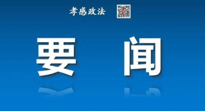全市扫黑除恶常态化暨四大行业领域整治推进会召开