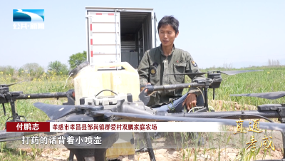 直通孝感 | 付鹏志：请叫我新农人