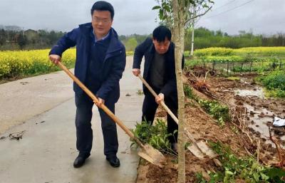 小河镇：植树正当时，不负春光添新绿