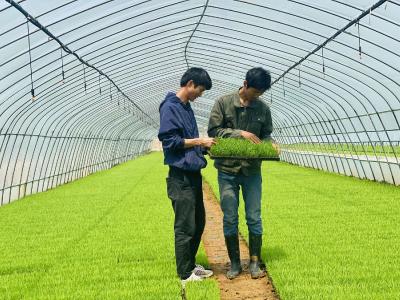 孝昌双鹏兄弟：根植家乡  服务“三农”