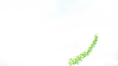 --四好农村路织就乡村振兴“幸福网”