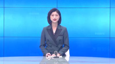 --我县开展“五城同创”市场秩序整治暨进口货物疫情防控、节前安全生产大检查