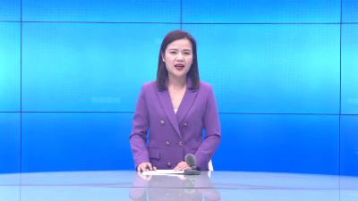 --我县组织收看平安湖北建设专项行动推进会