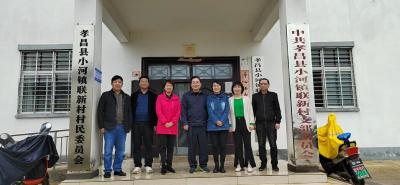 “六大行动”闹春耕走进小河镇联新村