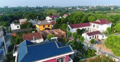 周巷镇：家在景里住 人在画中行