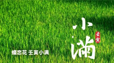 今日小满，30℃+的夏天来了……